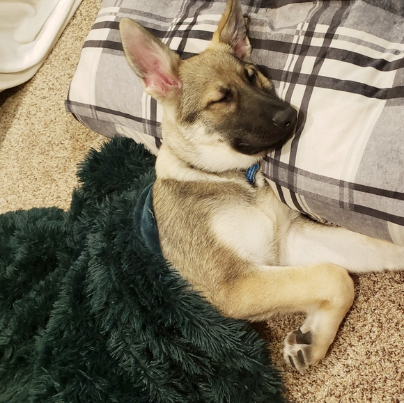 Meet your Posher, Kelly - Picture 3 of 3